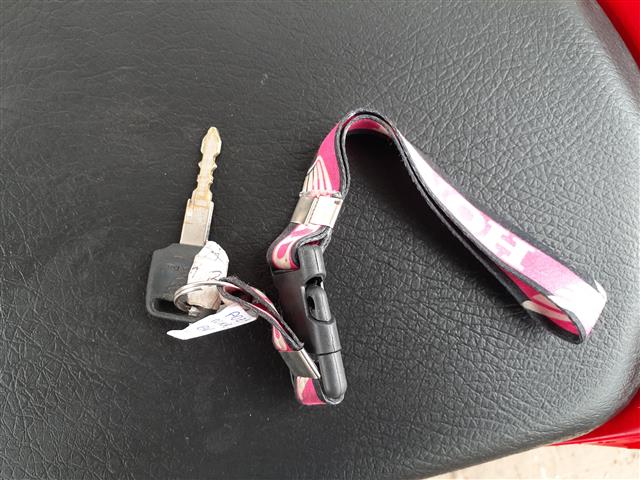 HONDA NXR160 BROS ESDD 2019/2020 - Imagem 12